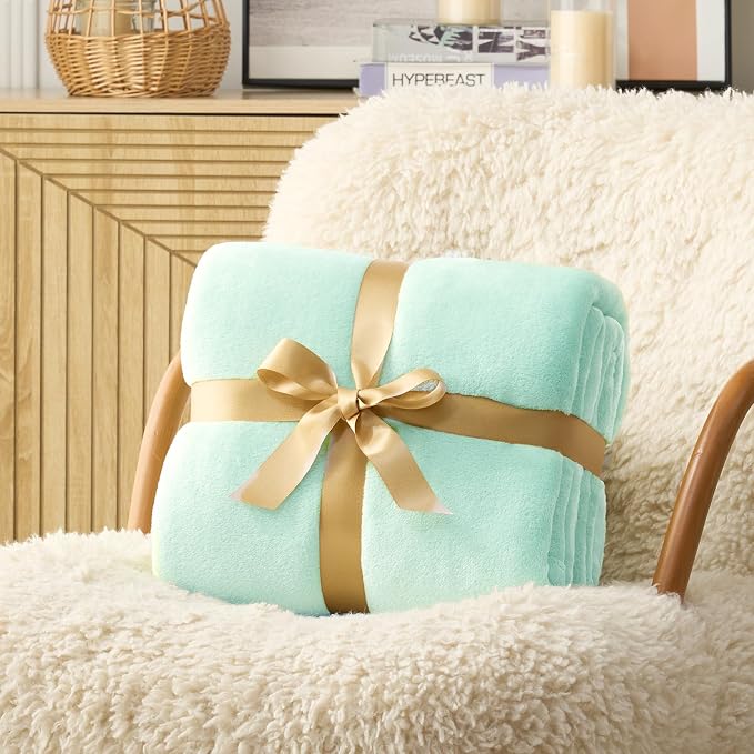 Hansleep Queen Mint Green Fleece Blanket, Soft Flannel Bed Blanket | Fuzzy Cozy Blanket 90x90 Inches, Multi-use for Bed, Sofa, Couch, Travel, Camping, All Season Warm Lightweight Cover