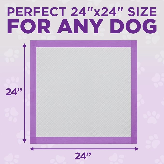 POOPH® Potty Pads™ 24 x 24 in, 50 Count | Disposable 24 x 24 in potty pads with absorbent core and odor control. Includes 50 pads