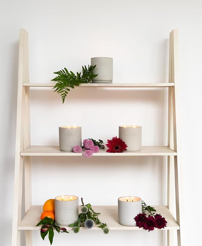 WHOLESOME. Pomegranate Scented Non-Toxic Candles for Home, 2 Wicks Natural Coconut Wax Candle Eco-Friendly, Luxury Aromatherapy Candles Stress Relief, 16 oz Large Concrete Jar, 90 Hours Burn