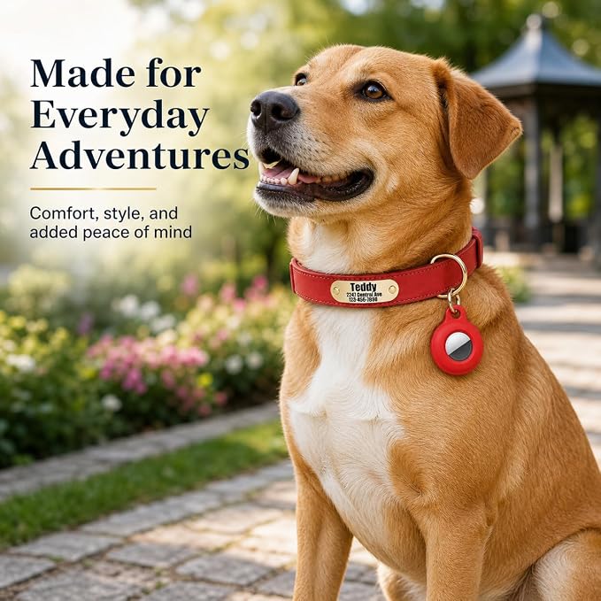 Personalized Genuine Leather Dog Collar with Name & Phone Number-Red-XL