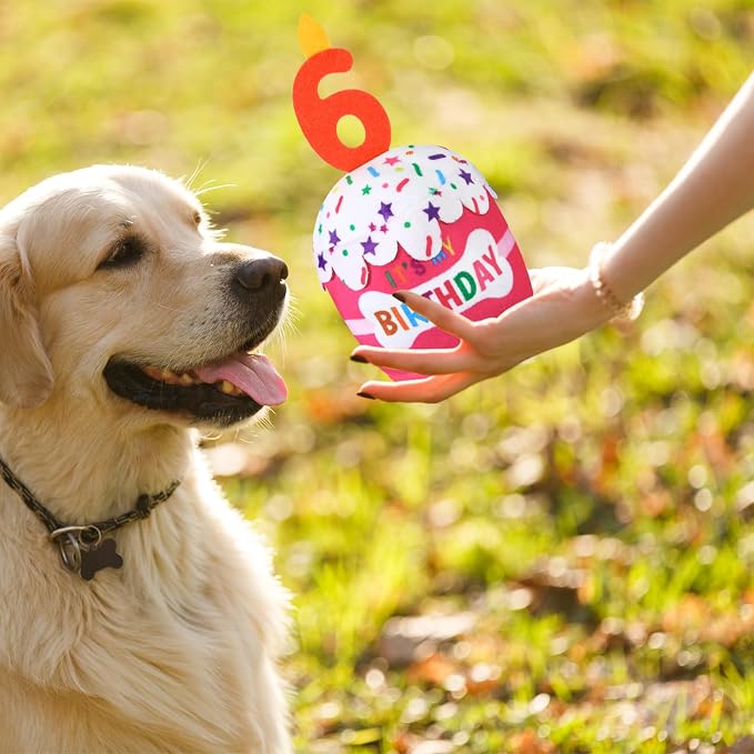 Dansydaisy Dog Birthday Cake Toy Squeaky Plush Gift,6th,Pink
