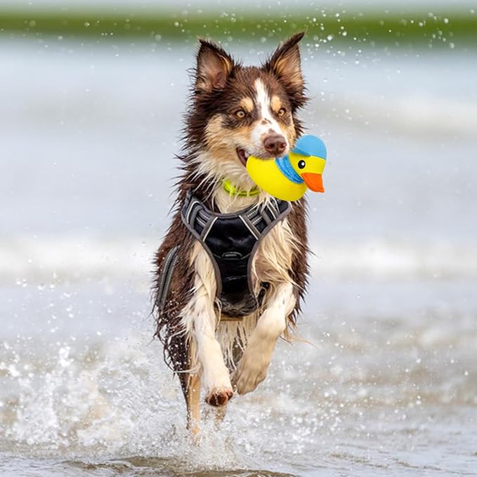 Squeaky Dog Toys, Floating Dog Toys for Indoor or Outward Play, Interactive Dog Gifts for Small and Medium Dogs - Yellow Duck