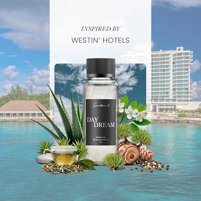 Scentiment Diffuser Oil - Day Dream | Inspired by Luxury Five Star Hotel White Tea Scent | Aromatherapy Home Fragrance| Luxurious Scent with Notes of Aloe Vera, Cedar, White Tea (50ml)