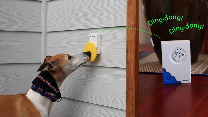 Doggie Doorbell - Blue Accent