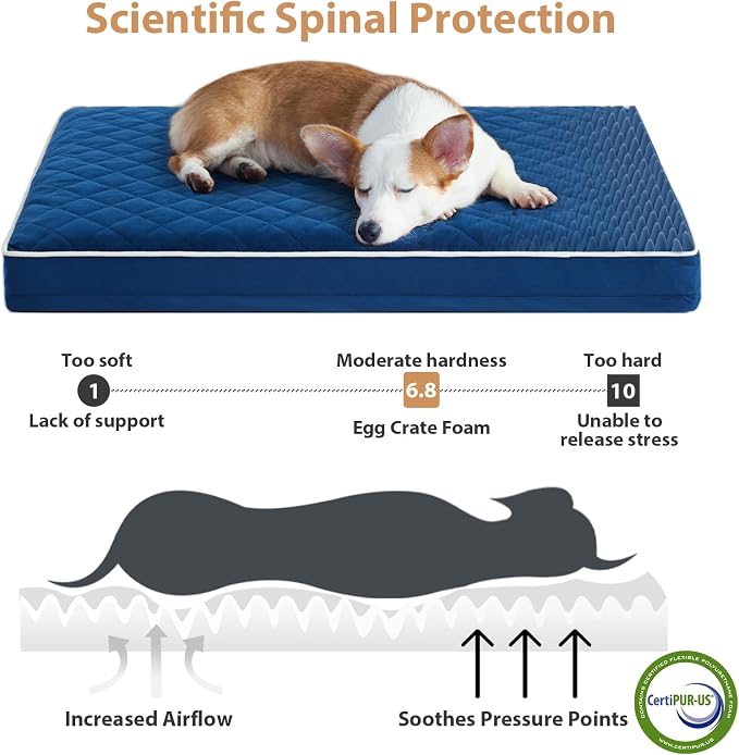 WNPETHOME Orthopedic XXL Dog Beds for Large Senior Dog Bed Comfy Sleeping | XXL Washable Waterproof Dogs Bed with Removable Cover, Multi-Needle Quilting Dogs Crate Bed for Relax , Blue 47x29 Inch