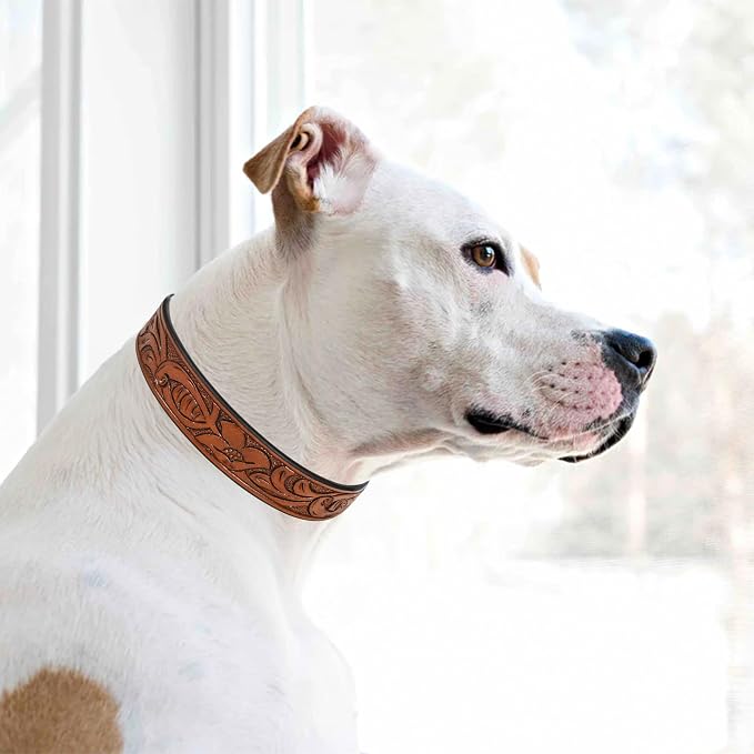 TARICO Adjustable Leather Dog Collar for All Breeds, Heavy Duty Non Padded Pet Collar with Engraved Design Durable Metal Buckle - Tan (Small: Fits 13–17" Necks)
