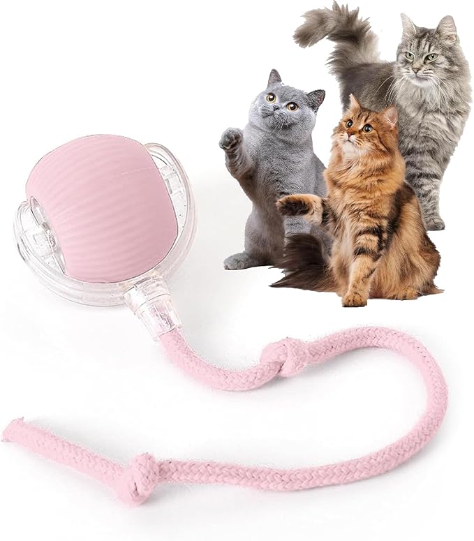 Rocfish Durable Interactive Cat Toys for Indoor Cats (Pink, 01)