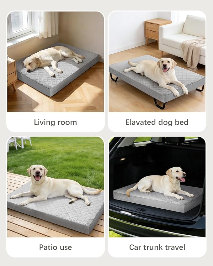 NUPIDA Orthopedic Small Dog Bed for Crate with Washable Cover, 23x17, Grey | Cat Puppy Kennel Pad, Egg-Crate Foam, Cozy Velvet Pet Mattress, TPU Waterproof Layer, Comfy Support, Non-Slip Bottom