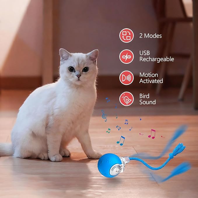 Speed 2.0 Tail Interactive Cat Toys, Rechargeable Ball for Indoor Cats