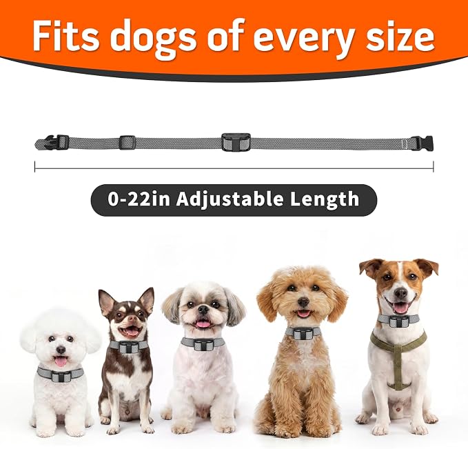 Lightweight Dog Training Collar with Remote for Small Dogs 5–15 lbs, Medium & Large Dogs, 1300FT Range, Waterproof, Rechargeable Training Device(WhiteBlack)