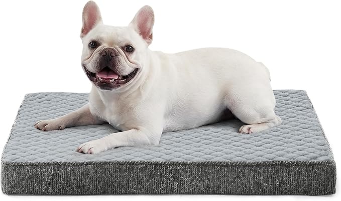 JOEJOY Orthopedic Dog Bed for Small Dogs, Washable Dog Crate Bed Small Sized with Removable Cover, Egg Memory Foam Pet Beds, Light Grey, 23"x17"