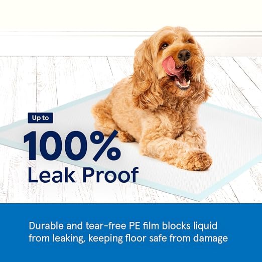 Puppy Pads Pet Pee Pads for Dogs & Puppy Training [100-COUNT] Potty Pads for Dogs 22" x 22" Leak-Proof Dog Pee Pads - Quick-Dry Surface - Heavy Duty Absorbent Disposable Dog Wee Pad Bulk Pack | Potty Pads for Dogs, Leak-Proof Dog Pee Pads, Quick-Dry Su...