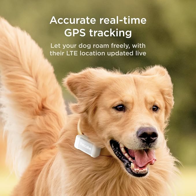 Petcube GPS Tracker for Dogs – Real-Time GPS Tracking | Escape alerts, virtual fences, activity & wellness monitoring, water & dust resistant