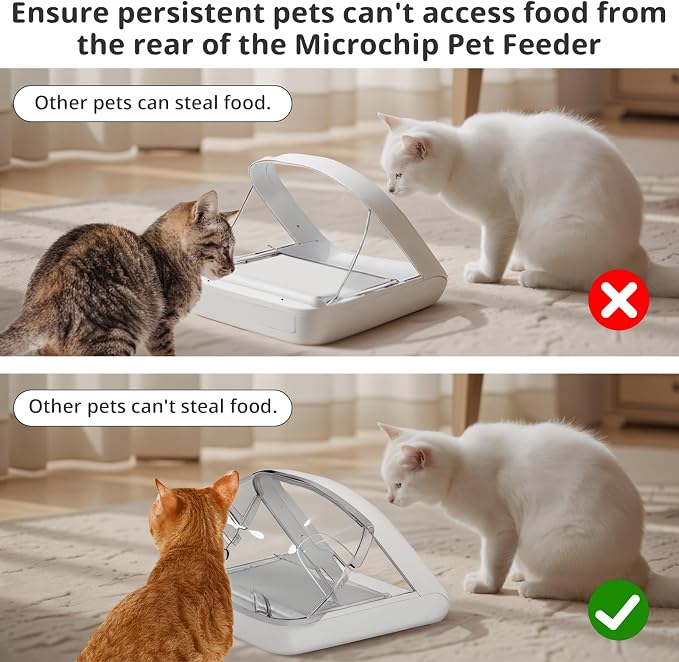 Rear Cover for Automatic Microchip Cat Pet Feeder - Prevents Persistent Pet from Getting Food from The Back of The Feeder (3 Pack)