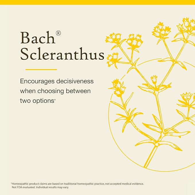 Bach Original Flower Remedies, Scleranthus - Be Decisive - Natural Homeopathic Flower Essence for Emotional Balance - Vegan, Gluten Free, Sugar Free - 20mL Dropper