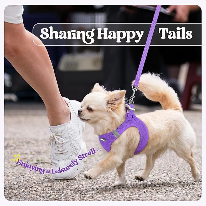 rabbitgoo Dog Harness Small Sized and Leash Set, Step-in Puppy Pet Vest | Light, Soft, Breathable Air Mesh, Easy on and Remove with Hook & Loop, Secure Reflective for Walking, Purple XXXS