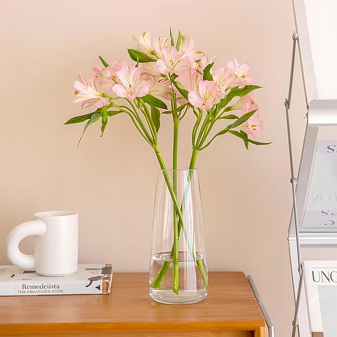 Crystal Clear Glass Flower Vase for Table Centerpiece Home Decor, 8.3inch H | Glass Vases for a Dozen of Flowers, Living Room, Bathroom, Office, Coffee Table, Wedding Decor, Housewarming Valentine Gifts