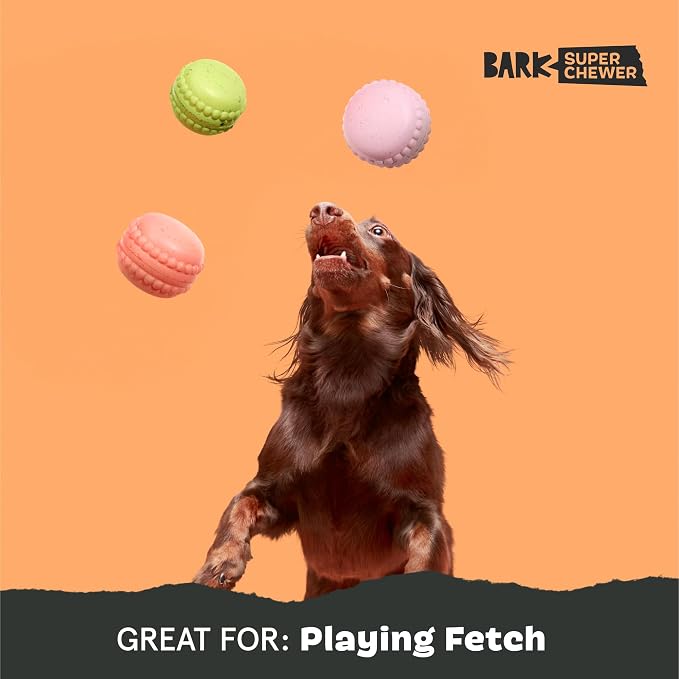 BarkBox Macaruffs - for Small Dogs