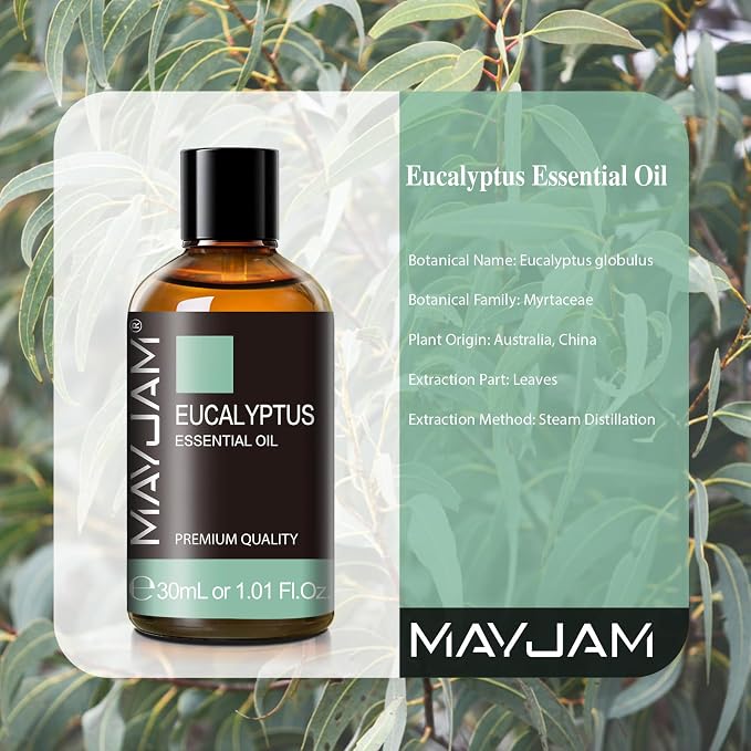 MAYJAM Eucalyptus Essential Oil for Diffuser Soap Candle Making, 1.01fl.oz | Long Lasting Scents, Eucalyptus Oil for Skin, Ideal for Living Room Bedroom Office Car Use