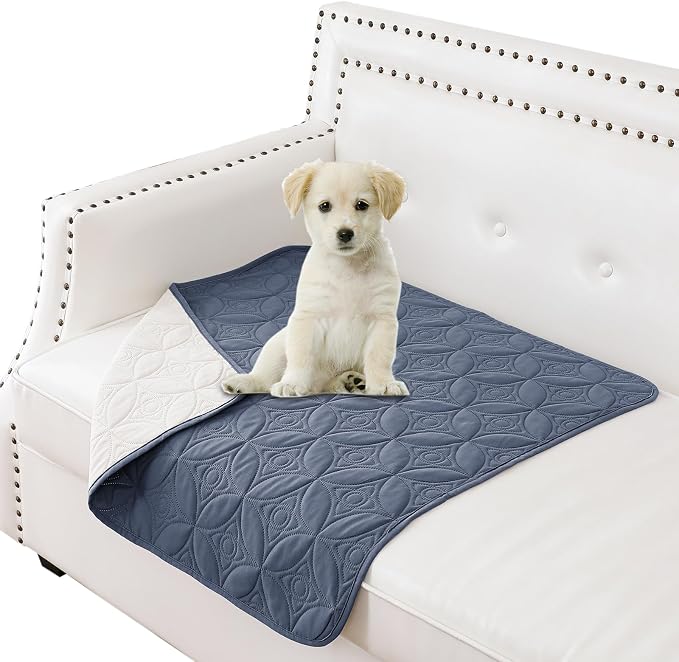 Waterproof Couch Cover for Dogs - Washable Pets Furniture Protector | TPU Leak-Proof Liner, Lightweight & Reversible, Fits Chair, Sofa, Bed, 30" x 30" , Blue/Cream