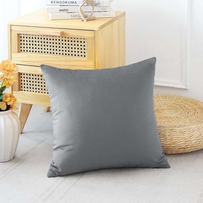 Artscope Luxury Velvet Pillow Covers Decorative Square Pillowcases Soft Solid Cushion Cases for Couch Sofa Bedroom Home Decor 20x20 Inch Graphite Grey