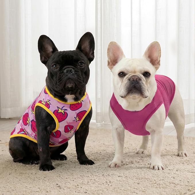 KYEESE 2Pack Dog Shirt, Lightweight Sun Protection Dog T Shirts for Small Medium Dogs Girl, Breathable Mesh Tank Top Sleeveless Pet Reflective Vest, Soft Summer Dogs Clothes, Strawberry+Rose Red, XL
