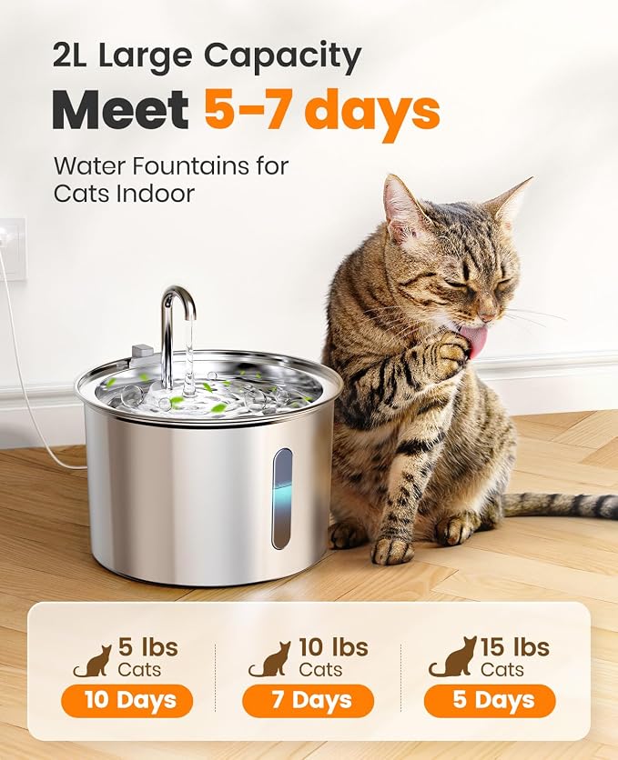 oneisall Stainless Steel Cat Water Fountain,PWF 001 | Quiet Pump＜30 dB, Faucet Spout Design, with 2 Replacement Filters for provide a fresh water