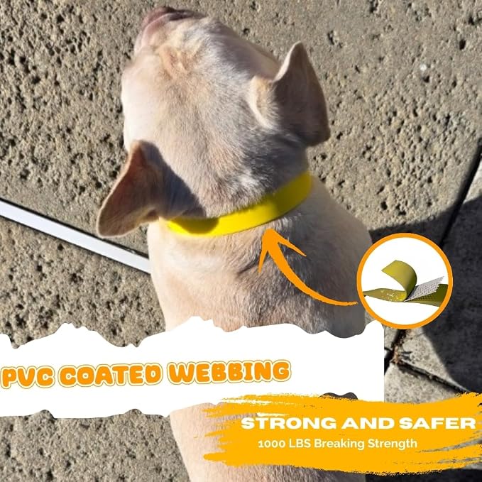 Waterproof Dog Collar, Soft Comfortable Pet Collars, Adjustable Odor Proof Heavy Duty Dog Collars Easy to Clean for Large, Medium Small Dogs by Bee N Buu (Yellow, Small (length8-12, Width 3/4"))