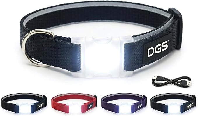 Dog Gone Smart Pet Products Super Bright LED All Day & Night Wear Safety Comet Collar Dogs, Adjustable Breathable Strong Nylon, Puppies, Large, Medium, Small