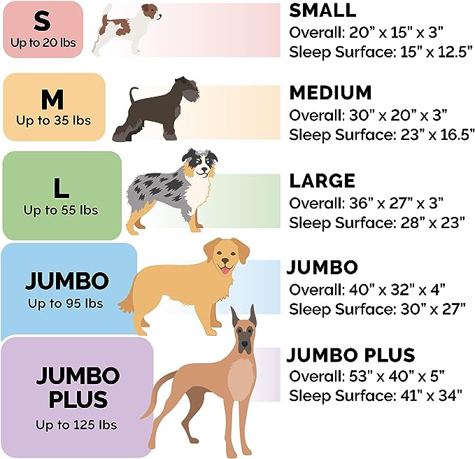 Furhaven Dog Bed Liner Water-Resistant Foam Mattress Protector Cover - White, Medium