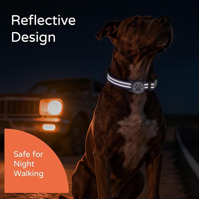 Waterproof AirTag Dog Collar with QR Code Dog Tag, Purple M | IP68 waterproof, QR code dog tag, Anti-Lost, Online profile, fits XS-L (8"-26"), Padded nylon, Reflective, No App, No Fees