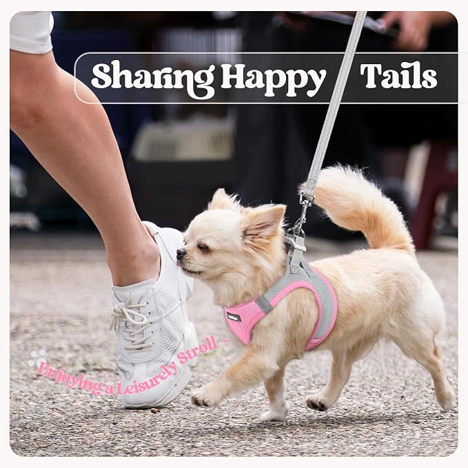 rabbitgoo Dog Harness Small Sized and Leash Set, Step-in Puppy Pet Vest | Light, Soft, Breathable Air Mesh, Easy on and Remove with Hook & Loop, Secure Reflective for Walking, Light Pink & Gray XS