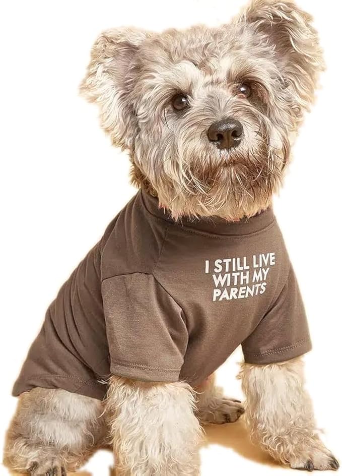 Cute Dog Clothes T Shirt for Medium Dog and Small Dogs Girl Boy,Puppy.Breathable Soft Dog Costume for Pet Dogs Cats, Pet Pullover Jumper, Cat Clothes (XL-(16~20lb), Chest~20", Khaki)