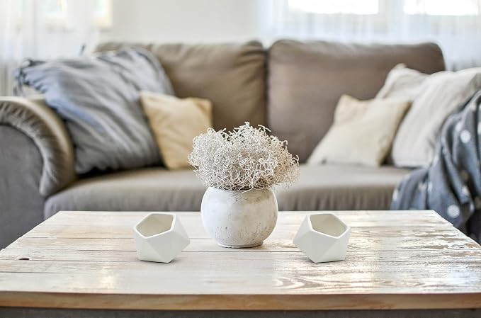 WGV Geometric Ceramic Vase, Width 4.2", Height 3.3", Matte White Tilted Pot, DIY Folded Planter Bowl for Wedding Event Office Home Decor, 1 Piece