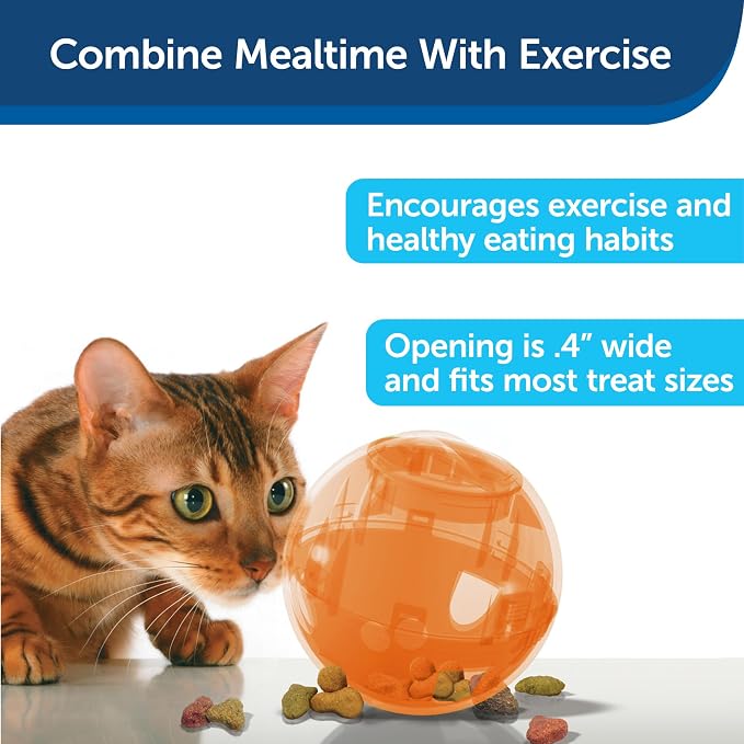PetSafe Slimcat Feeder Ball - Interactive Game for Your Cat - Fill with Food and Treats - Orange (Pack of 6)