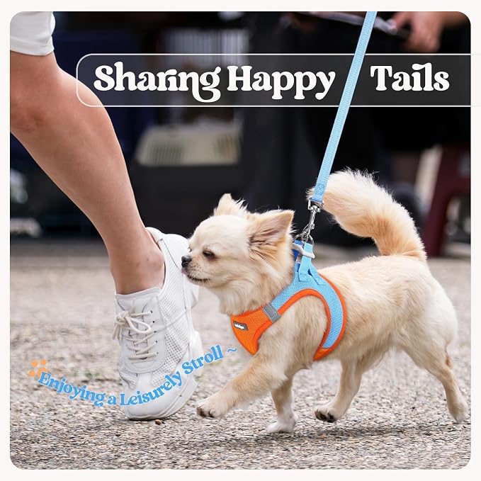 rabbitgoo Dog Harness Medium Sized and Leash Set, Step-in Puppy Pet Vest | Light, Soft, Breathable Air Mesh, Easy on and Remove with Hook & Loop, Secure Reflective for Walking, Blue & Orange XXL