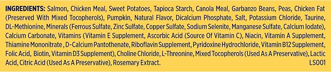 Nature's Recipe Grain Free Salmon Dry Dog Food, 34 lb. Bag | Fiber From Sweet Potatoes & Pumpkin Helps Support Digestion and Immune System Health