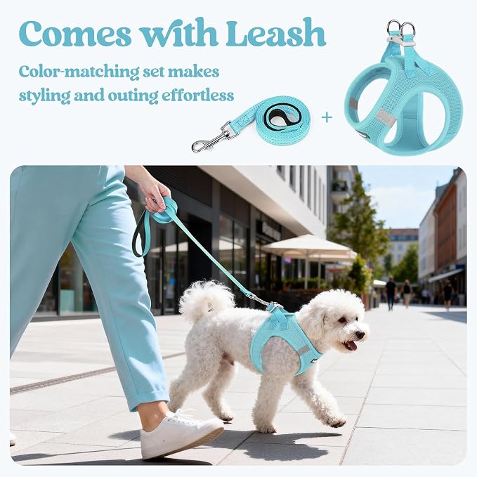 rabbitgoo Dog Harness Small Sized and Leash Set, Step-in Puppy Pet Vest | Light, Soft, Breathable Air Mesh, Easy on and Remove with Hook & Loop, Secure Reflective for Walking, Mint Blue M