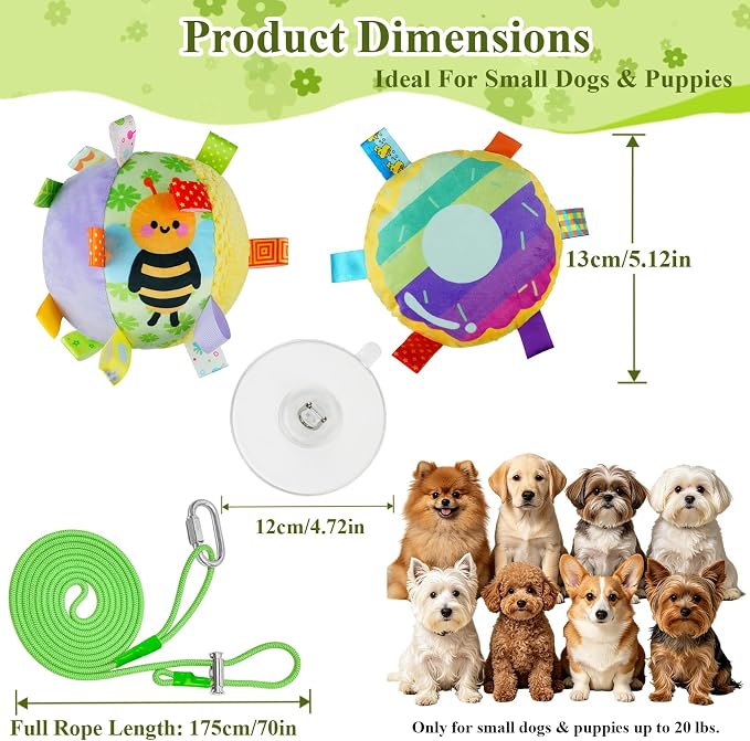 Colorful Squeaky Hanging Dog Toy with Suction Cup for Small Dogs | Bungee Tether, Crinkle Bell Ball, Bouncing Self-Play Toy, Door Frame Mounted, Interactive Fetch for Puppy Teething & Exercise