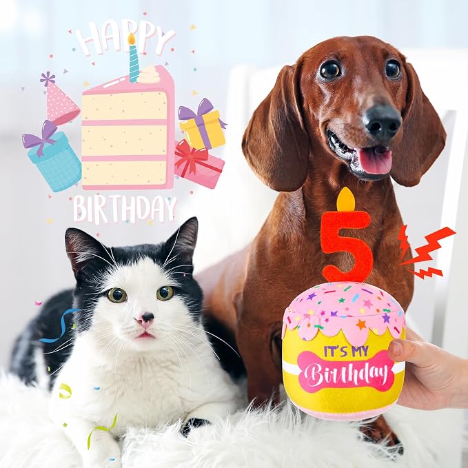 Dansydaisy Dog Birthday Cake Toy Squeaky Plush Gift,5th,Pink and Yellow