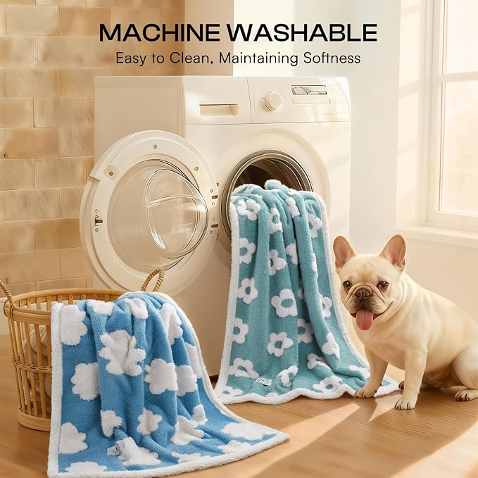 Luciphia Waterproof Dog Blanket for Small Dogs Cats Soft Reversible Fleece | Puppy Pet Blanket, Indoor Cats, Washable Cute Cozy Throw, Bed Cover, Couch Furniture Protector Gift (40" x 28", Blue)