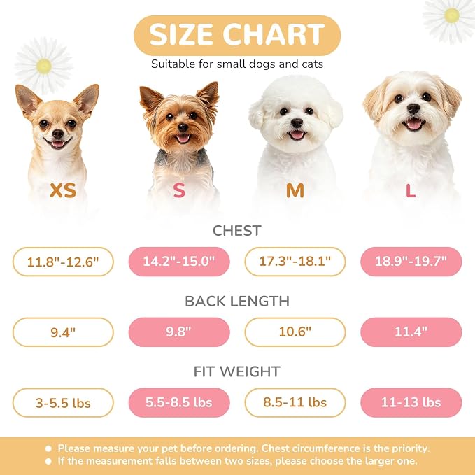 BAEJMJK Dog Dress Bowknot Harness Leash Set for Small Dogs Cats Girl Floral Princess Dog Dresses Cute Puppy Fruit Clothes Pet Doggy Outfits Spring Summer Breathable Dresses(Green,Small)
