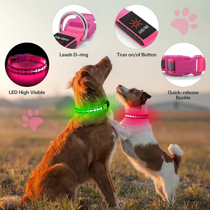 Flashseen LED Dog Collar Light Up USB-C Rechargeable(Pink, Medium)