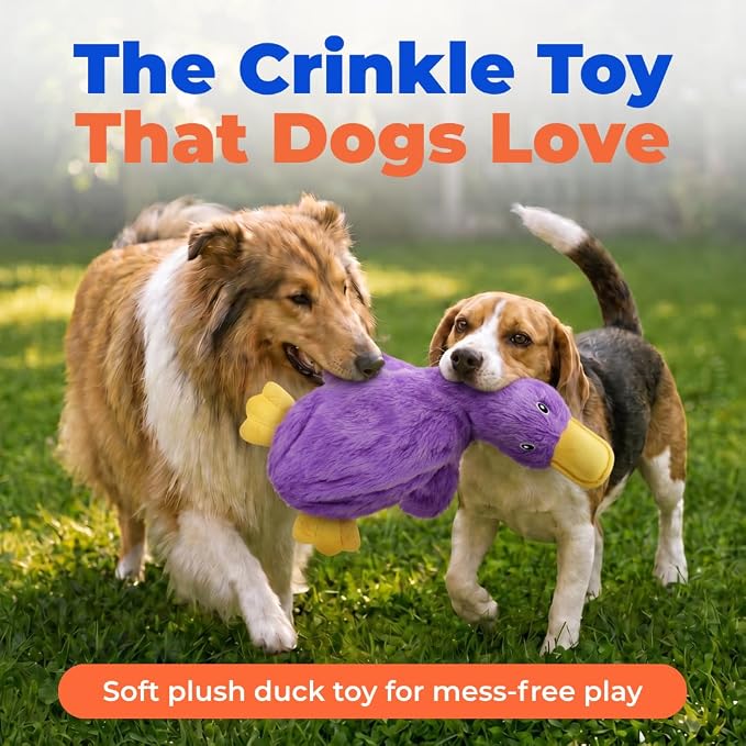 Best Pet Supplies Interactive Squeaky Dog Toy - Crinkle Duck, Purple | Stuffing Free Body, Soft, Squeaks & Crinkles, No Mess, Perfect for Moderate Chewers, Toss and Fetch Play