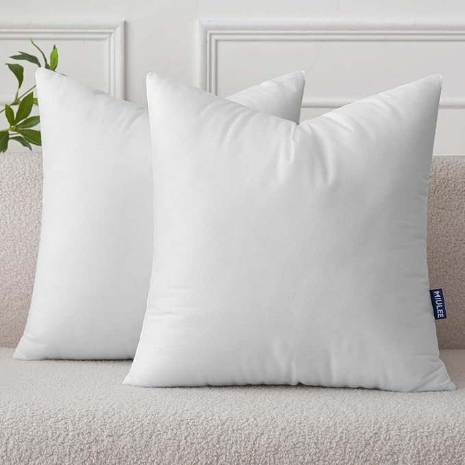 MIULEE Pillow Insert 16x16 Inch Set of 2, Decorative Throw Pillow Inserts | Premium Fluffy Pillow Forms Sham Stuffer for Sofa Couch Living Room