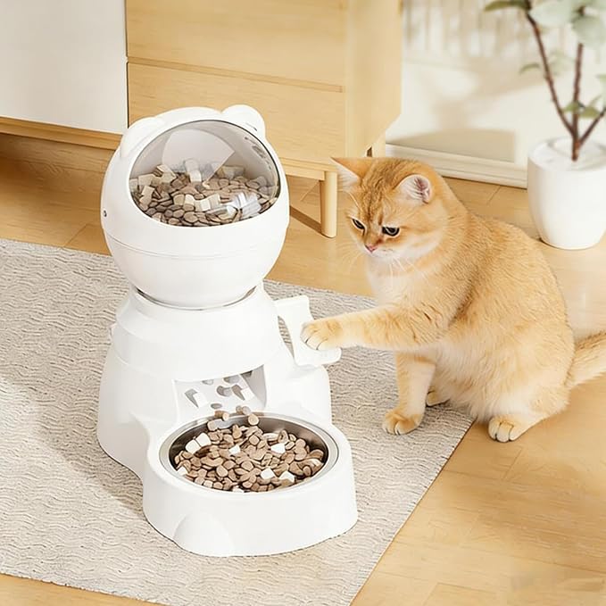 Automatic Feeder Automatic Memory Training Dish