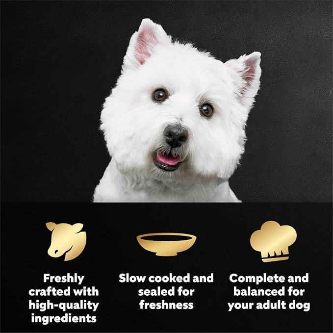 Cesar Mini-Pouch Wet Dog Food, Porterhouse Steak Flavor, 1.76 oz, 20 Count | Real beef, protein-packed, no fillers or artificial flavors, slow-cooked tender texture, serve as meal, snack, or topper