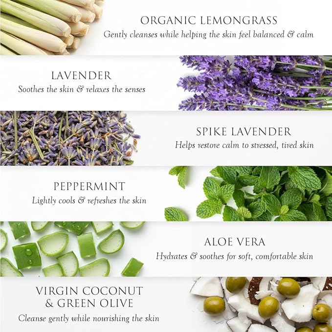 SPA CEYLON Peace Bath and Shower Gel | Lemongrass and Lavender Infused Herbal Body Wash | Hydrating with Aloe Vera, Vegetarian & Cruelty-Free | Promotes Harmony
