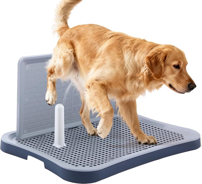 Pee Pad Holder, Indoor Potty Tray for Big and Large Size Dog with Pee Wall, Non-Skid Feet, 23.6x19.7x2 inch (Large)