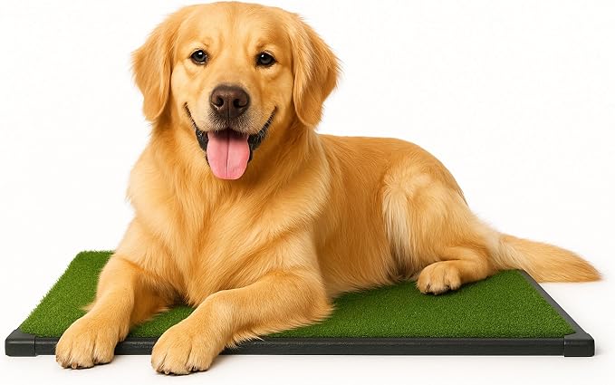 PETMAKER Artificial Grass Puppy Pee Pad with Tray for Dogs, 20” x 30” | Washable 3-Layer Reusable Indoor Dog Potty Grass Training Pad, Easy Clean Pet Housebreaking Potty Solution